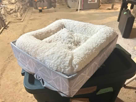 Photo of free Collapsible cat bed/box (Downtown Ottawa - canal/Elgin) #2