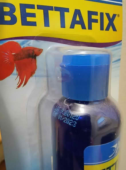 Photo of free BettaFix and MelaFix for betta fish (Hilton Village area in NN) #2