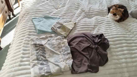 Photo of free Single duvet set (Dunkeswell nr Honiton) #3