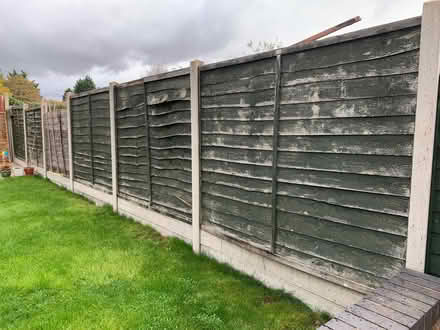 Photo of free 6 x 5ft by 6ft fence panels (Eastlands CV22) #1