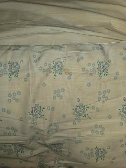 Photo of free Pillows - used (Oakwood village) #1