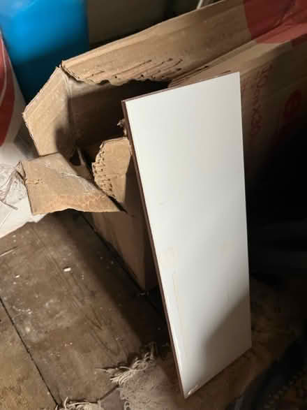 Photo of free White Tiles (Ladywell SE13) #1