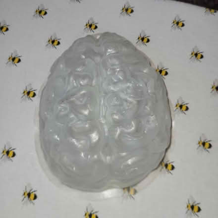 Photo of free Plastic Brain mould and heart mould (West Southbourne BH6) #1