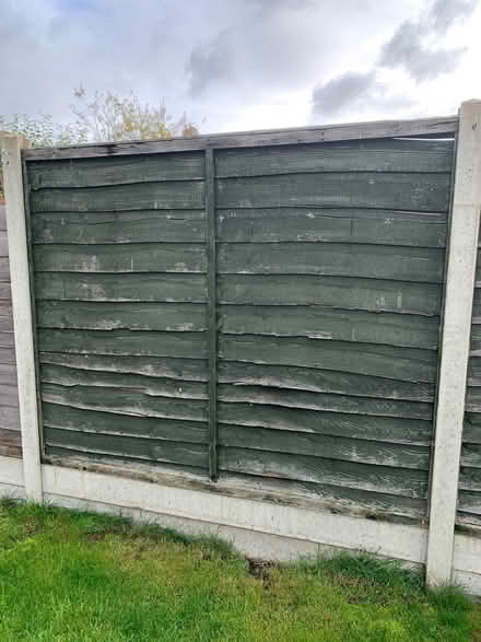 Photo of free 6 x 5ft by 6ft fence panels (Eastlands CV22) #2