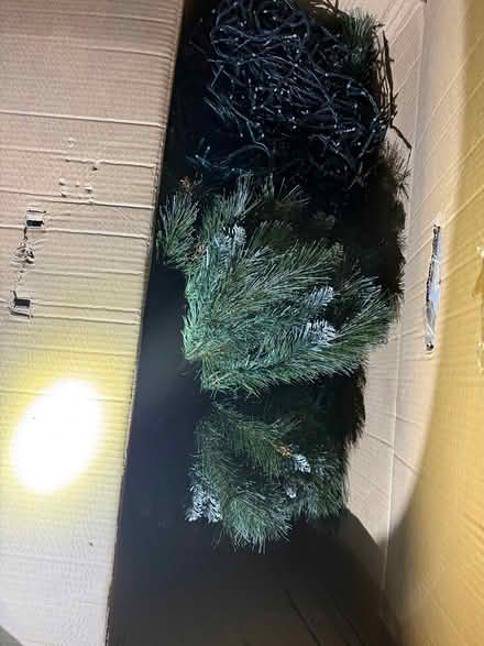 Photo of free 5ft Christmas tree (Guildford, GU3) #2