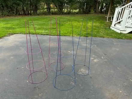 Photo of free Pink and blue tomato cages (Wattles and Squirrel) #2