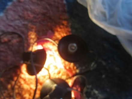 Photo of free outdoor xmas light set (Finchley N12) #2