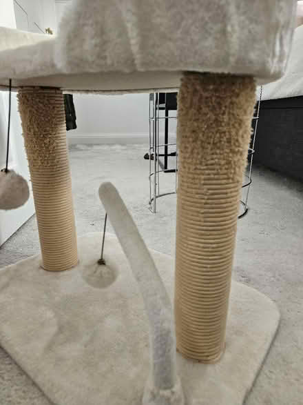 Photo of free Cat scratch post (NW9) #3