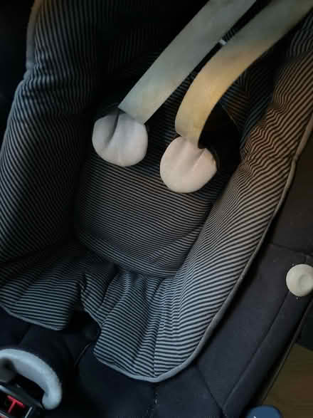 Photo of free Car seat for newborn to toddler (CR8) #4