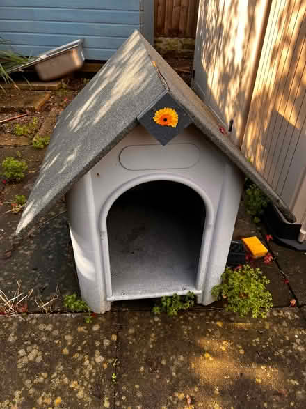 Photo of free Plastic dog cat kennel shelter (Spondon DE21) #2