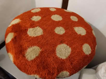 Photo of free Cat bed (Water Eaton MK2) #2