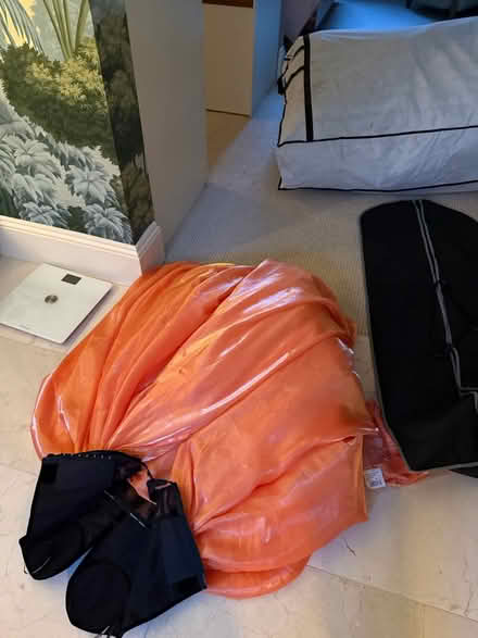 Photo of free Ball gown uk 10 (Pimlico, SW1) #3