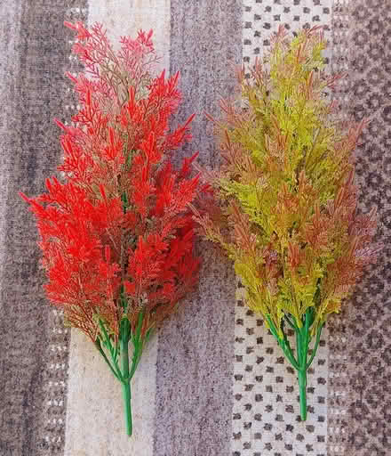 Photo of free 2 Artifical Conifers (Stirling FK8) #1