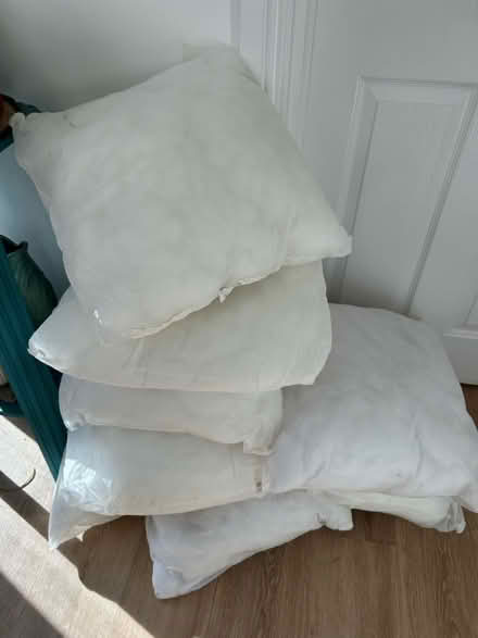 Photo of free Cushion inserts x8 (Withyham TN7) #1