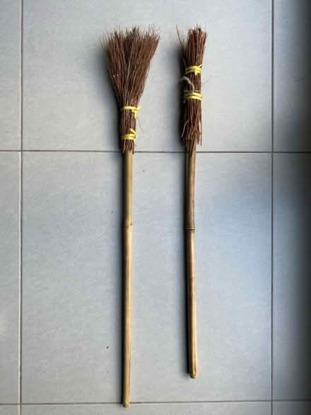 Photo of free Witches Broom x 2 (Craiglockhart EH14) #1