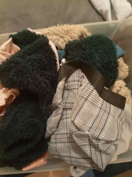 Photo of free Boys fleece clothes (Coseley WV14) #3