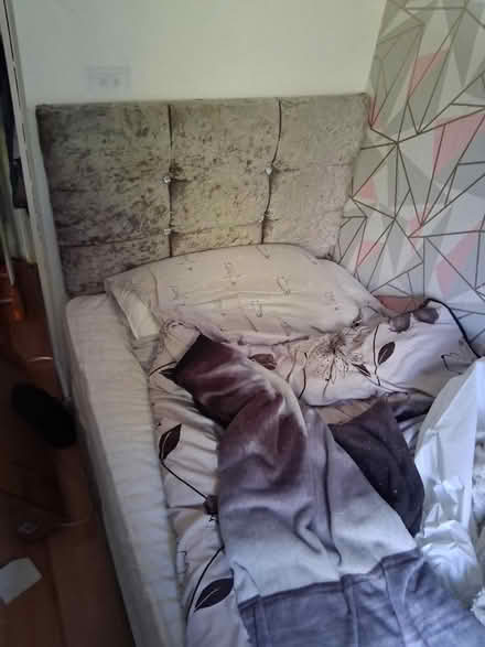 Photo of free velvet bed with mattress (CH53ET) #1