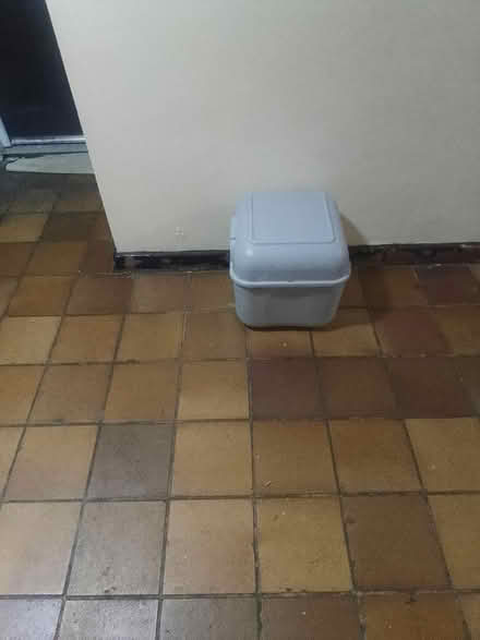 Photo of free Small square cat litter box (Anerley SE20) #1