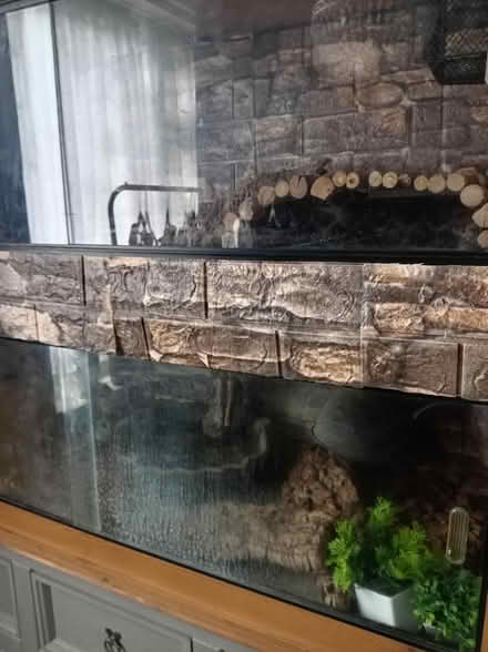Photo of free Double vivarium (Bramley LS13) #2