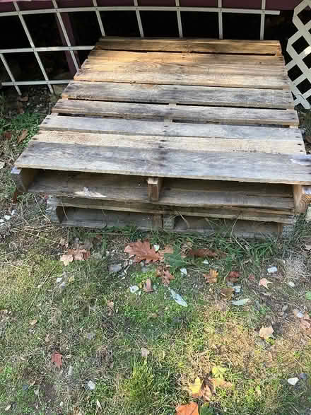 Photo of free Wood Pallets (4) (Kennedy road stop & shop,) #1