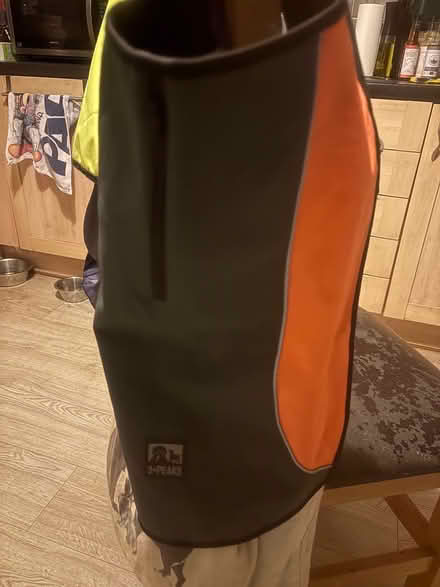 Photo of free Dog rain coat (Rubery B45) #1