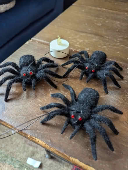 Photo of free Halloween items (North Cambridge) #4