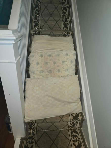 Photo of free Pillows - used (Oakwood village) #3