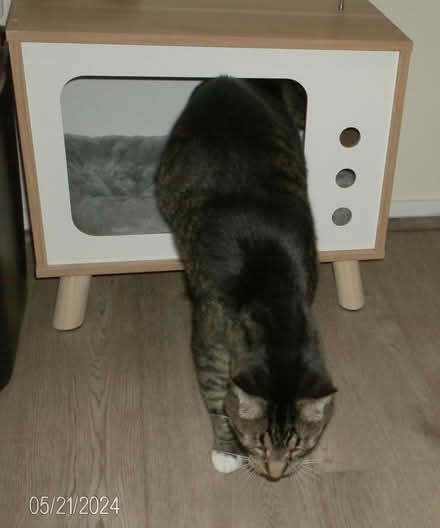 Photo of free cat bed shaped like TV (Western Dearborn) #2