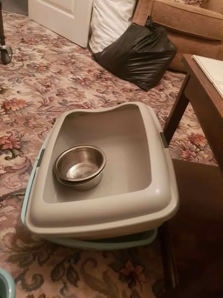 Photo of free Cat litter trays & scoops (Ainsdale PR8) #2