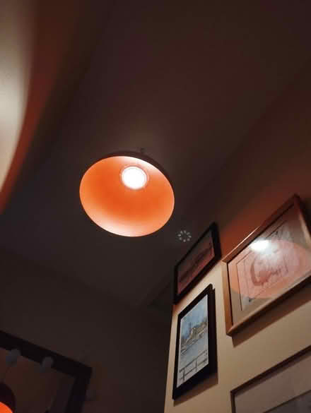 Photo of free Orange Lamp Shade and bulb (Shankill, Dublin 18.) #1