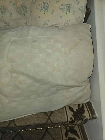 Photo of free Pillows - used (Oakwood village) #2