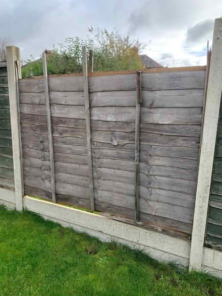Photo of free 6 x 5ft by 6ft fence panels (Eastlands CV22) #3