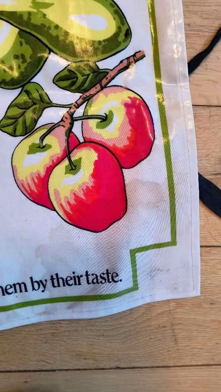 Photo of free Apron (Allington ME16) #2