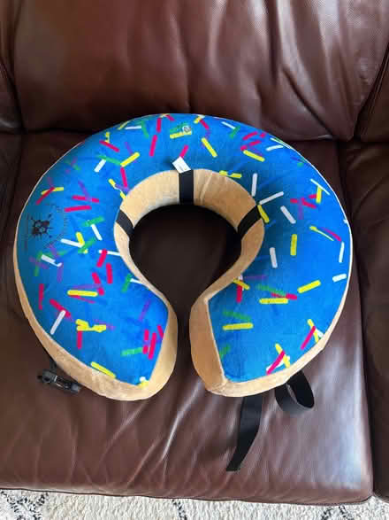 Photo of free Dog donut ring (post op) (Bishops Tachbrook CV33) #1