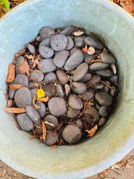 Photo of free River rocks (Hyde Park near Milton) #2