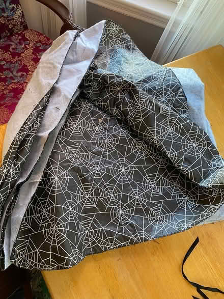 Photo of free Halloween table cloth (Lowell and highland) #1