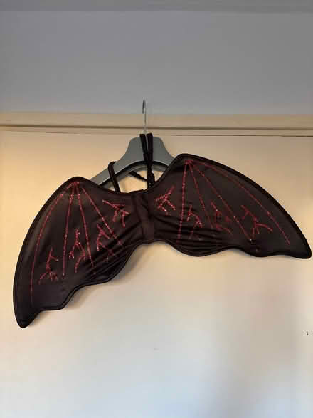 Photo of free Halloween costume bat wings x2 (WGC) #2