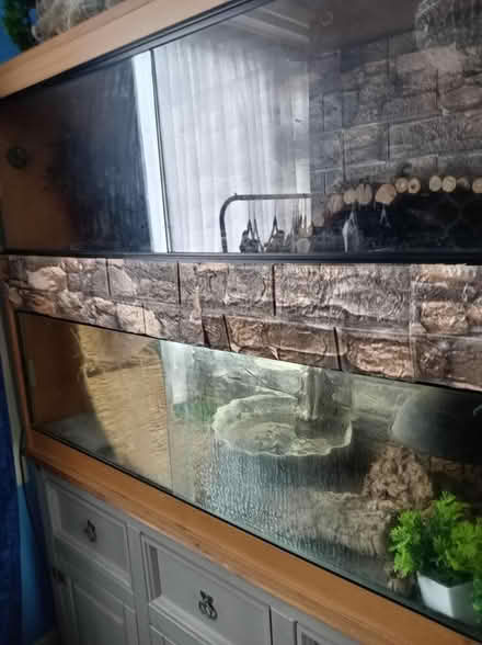 Photo of free Double vivarium (Bramley LS13) #3