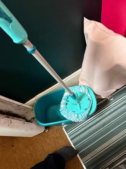 Photo of free Mop and spin bucket (Pimlico, SW1) #1