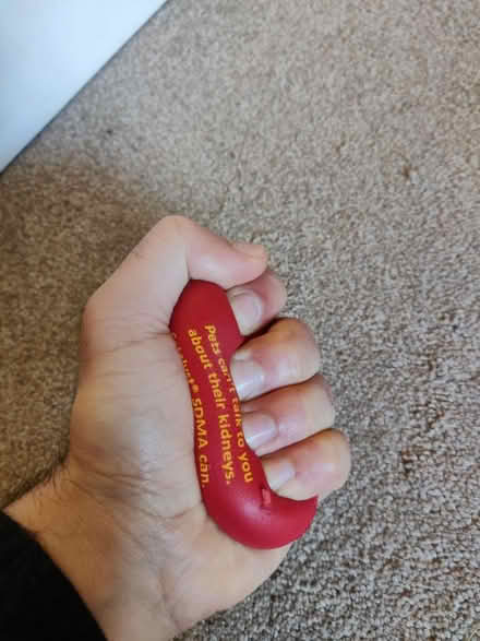 Photo of free Kidney Stress Ball (EH16, Prestonfield) #2