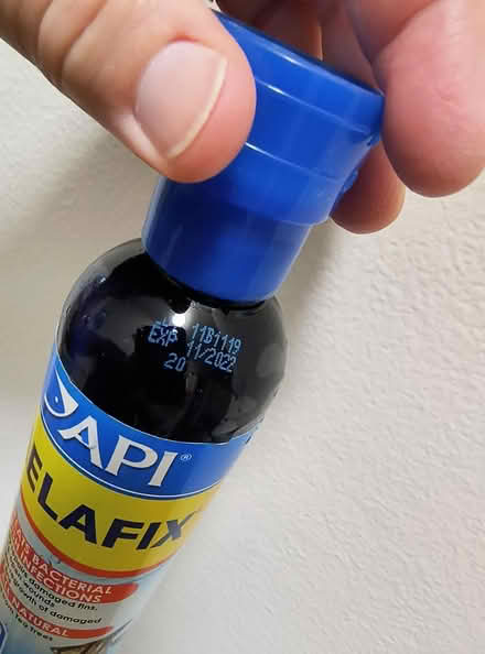 Photo of free BettaFix and MelaFix for betta fish (Hilton Village area in NN) #4