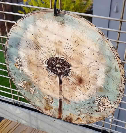 Photo of free 2 Dandelion Aluminium Wall Art (Stirling FK8) #1