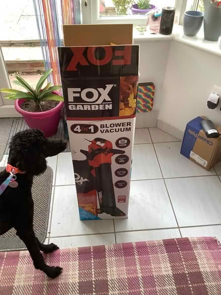 Photo of free Leaf blower/vacuum (Great Maplestead CO9) #1