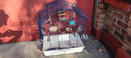 Photo of free Large bird cage (Celbridge road, Lucan) #1