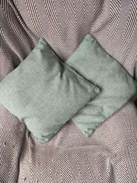 Photo of free Two grey Dunelm cushions (L25) #1