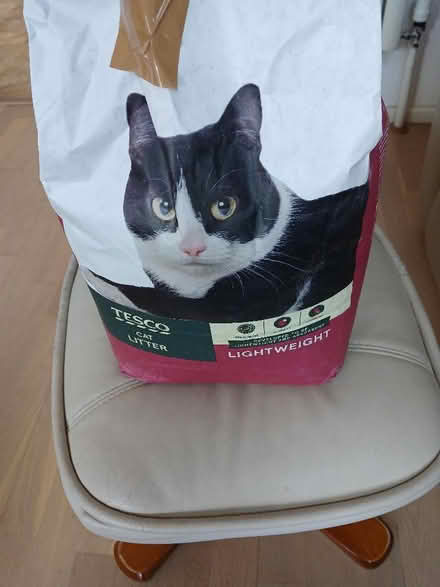 Photo of free Cat litter (Rusthall TN4) #1