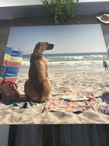 Photo of free Picture (Bedford MK41) #1