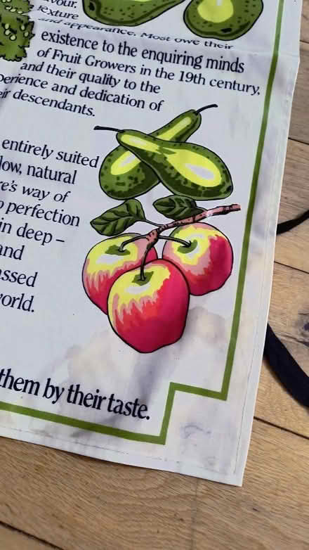 Photo of free Apron (Allington ME16) #4