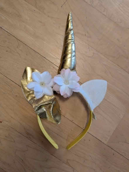 Photo of free Halloween items (North Cambridge) #3