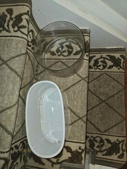 Photo of free Flower Arrangement Containers (Oakwood village) #1